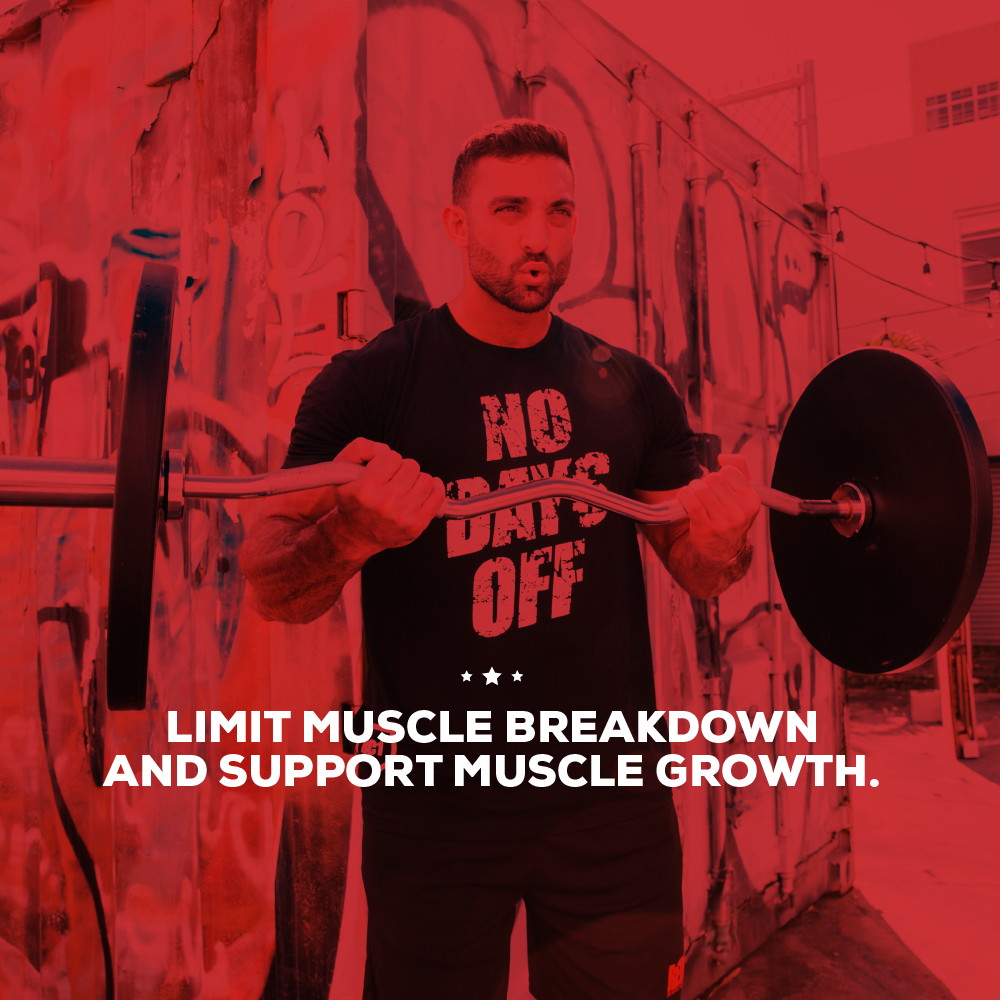 Supplement - All